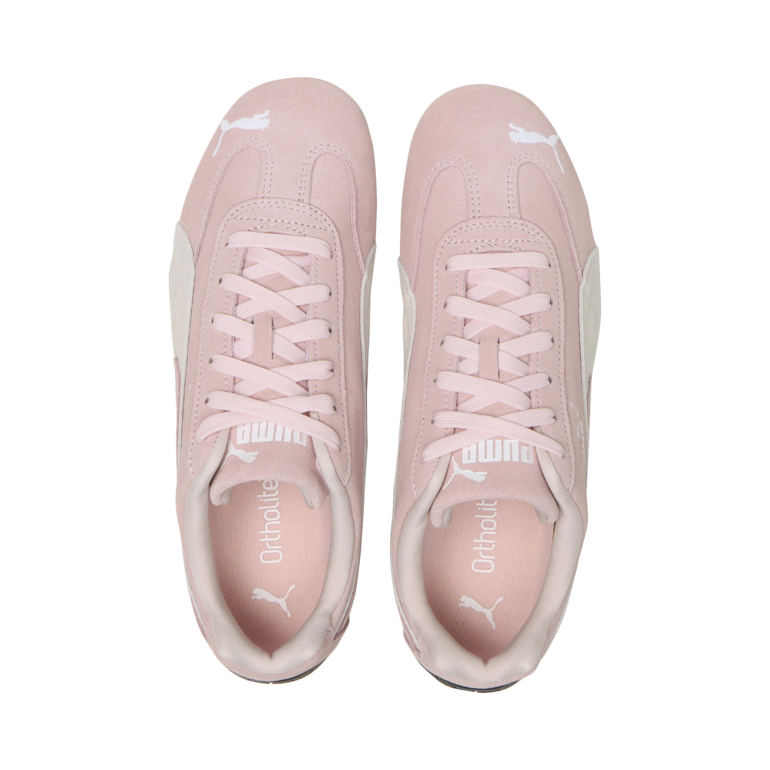 SPEEDCAT OG image number null