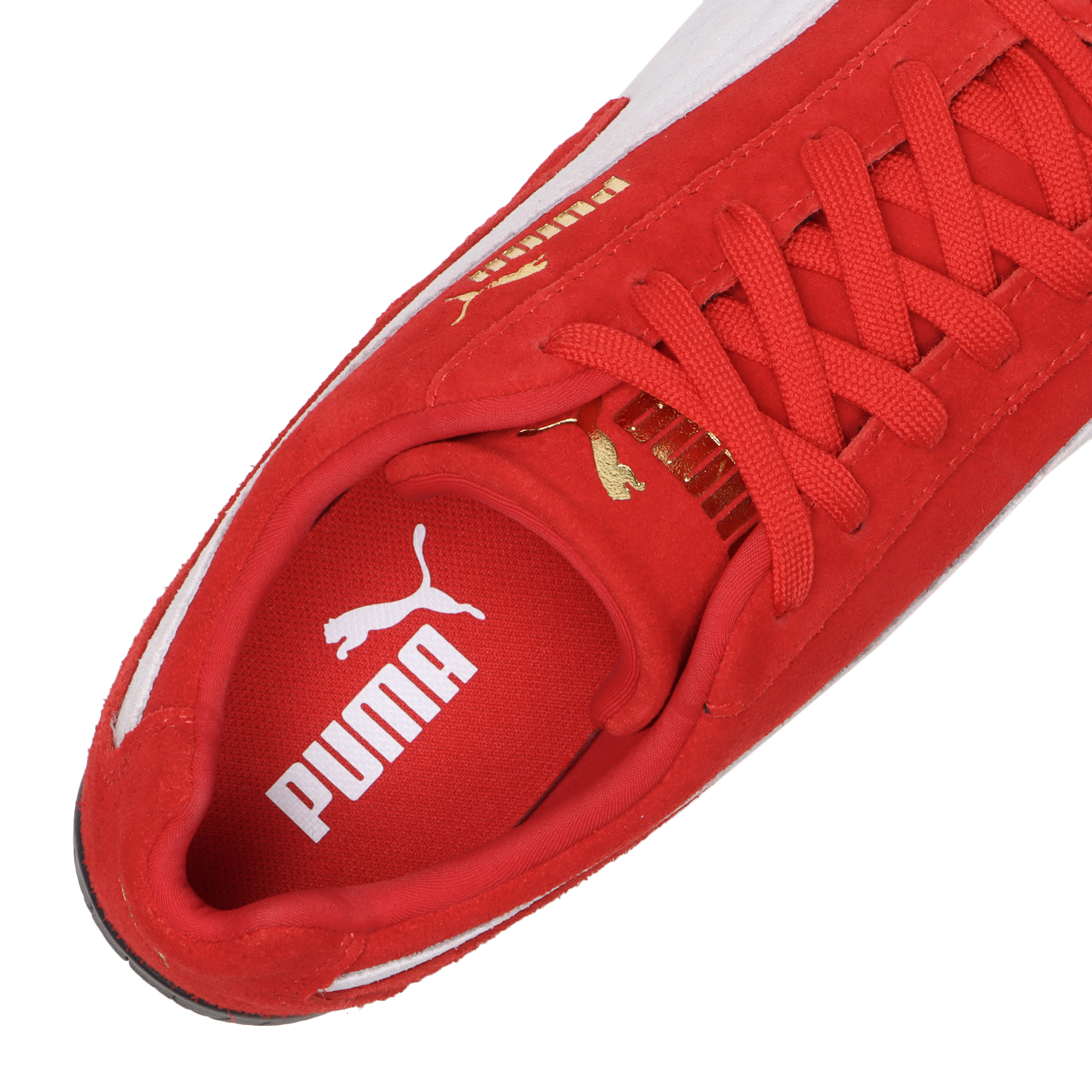 SPEEDCAT OG image number null