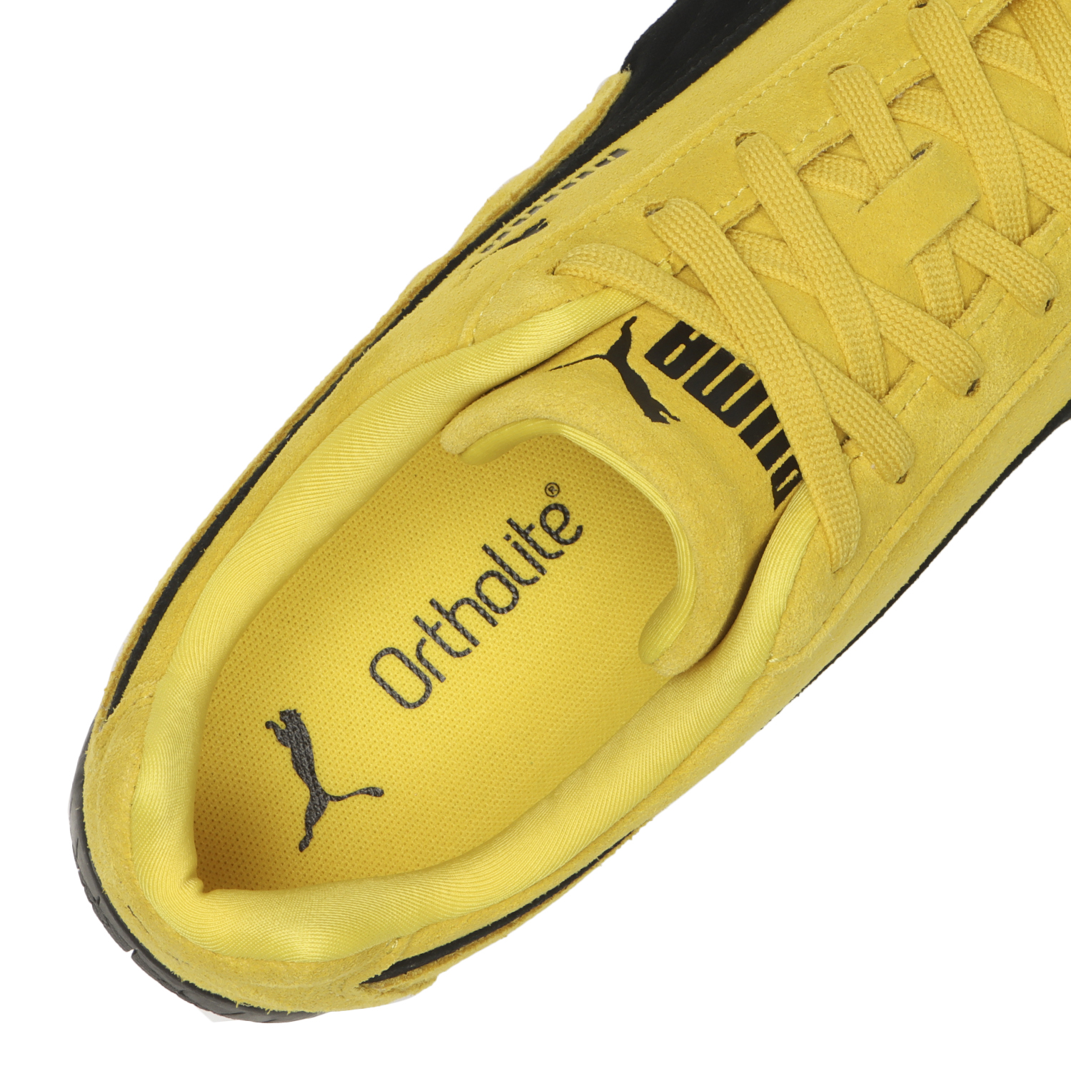 SPEEDCAT OG image number null