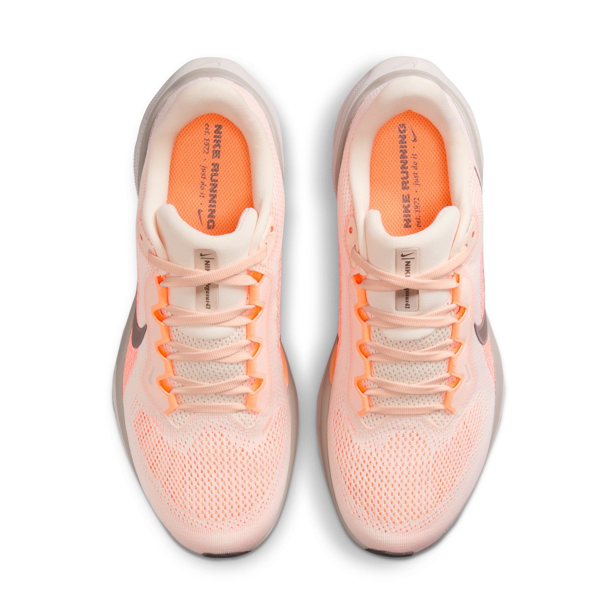 NIKE PEGASUS 41 image number null