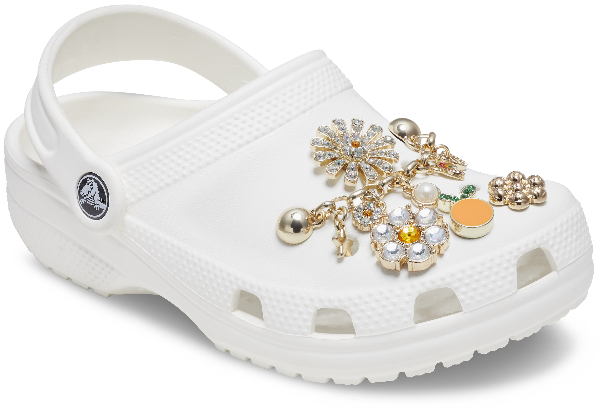 EVERYTHING NICE GEM MIX 5 PACK JIBBITZ CHARMS image number null