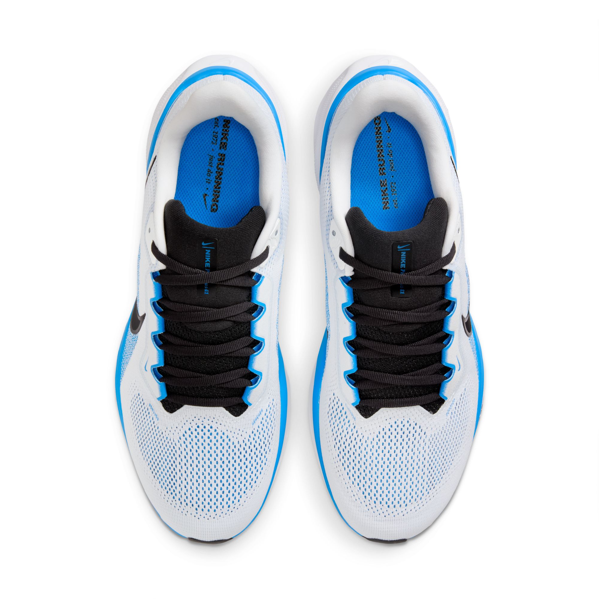 PEGASUS 41 image number null