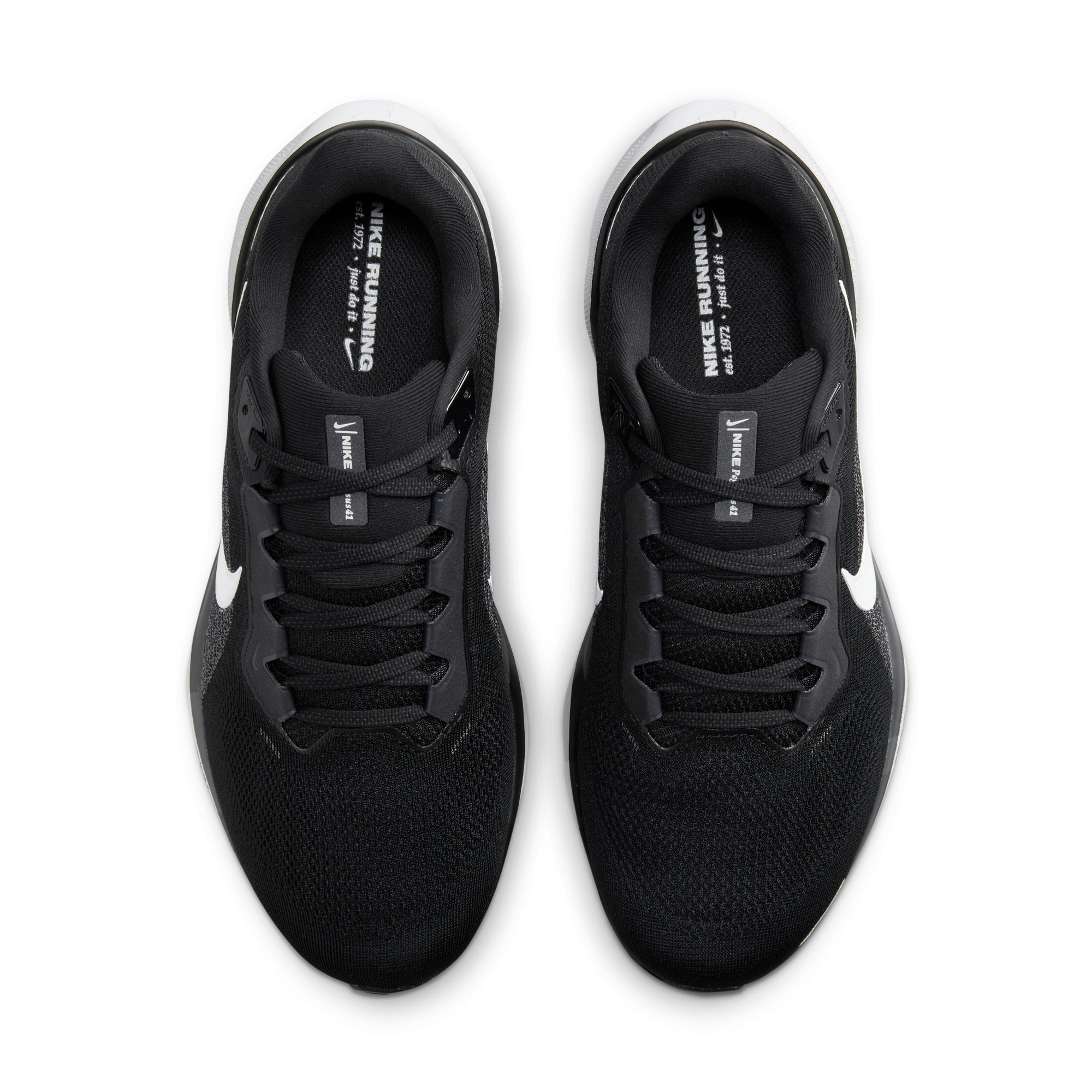 PEGASUS 41 image number null