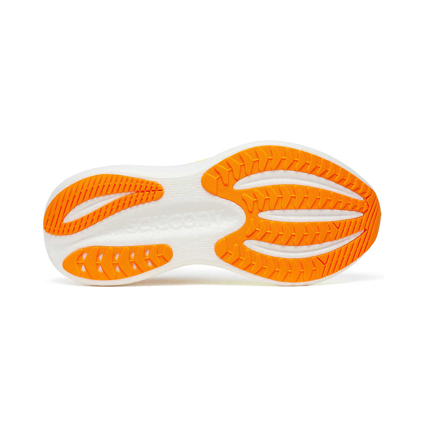 TRIUMPH 23 image number null