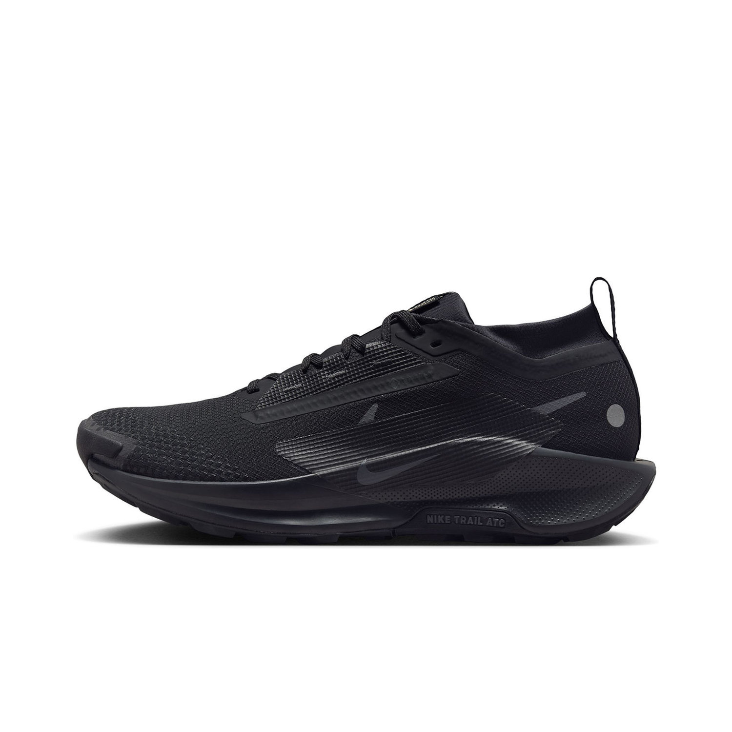 Nike Pegasus Trail 5 GORE-TEX